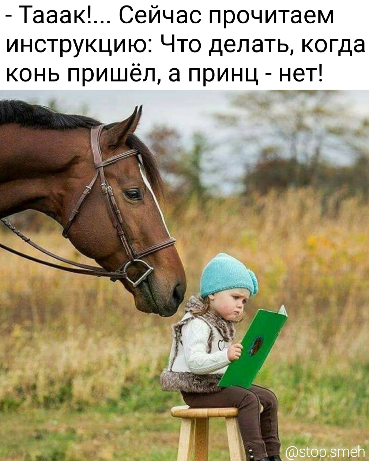 Хочу быть лошадью